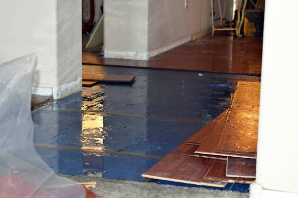Professional Water Damage Restoration technician working in Augusta, KY